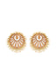 Gold-Toned & Brown Handcrafted Circular Studs