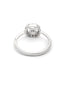 Silver-Plated AD Studded Finger Ring