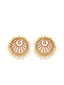 Gold-Toned & Brown Handcrafted Circular Studs